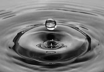 Black and white water droplet splash macro photography