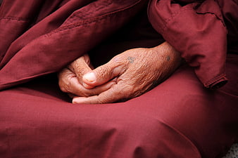 Close-up of Elderly Monk Hands in Meditation