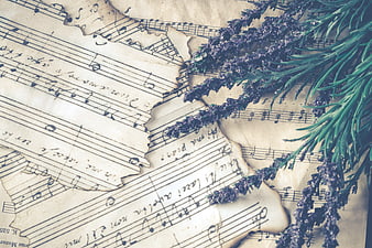 Vintage sheet music with dried lavender and rosemary