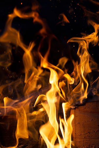 Close-up of vibrant orange and yellow flames burning wood at night