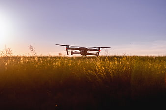 Drone Flying Over Golden Field at Sunset