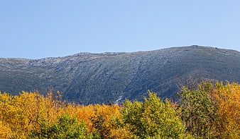 Autumn Mountain Landscape with Golden Foliage and Blue Sky