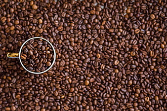 Top View of Coffee Beans in White Cup on Background