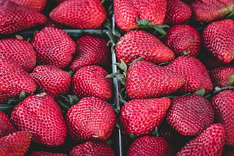 Fresh Red Strawberries in Plastic Containers
