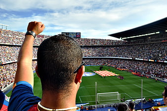 Football fan cheering at stadium with raised fist