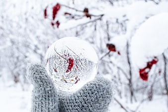 Hand in Grey Mitten Holding Ice Crystal Ball in Snowy Forest