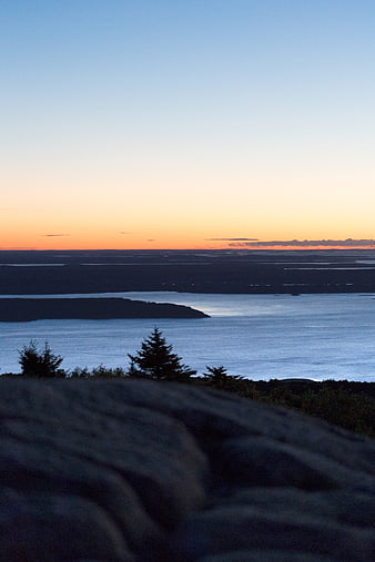 Serene Sunset Over Coastal Landscape with Silhouetted Trees