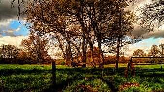 Dramatic HDR Landscape of Green Meadow with Trees and Cloudy Sky