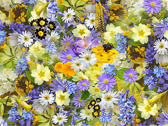 Vibrant Spring Flower Bouquet with Daisies, Crocuses, and Hyacinths