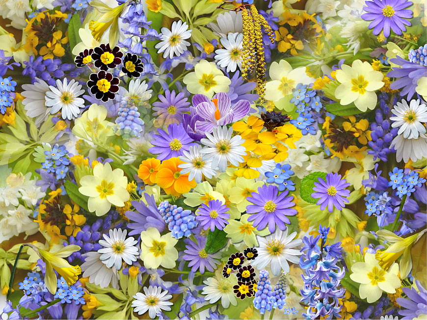 Vibrant Spring Flower Bouquet with Daisies, Crocuses, and Hyacinths