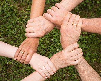 Multi-generational family holding arms in circle on grass