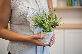 Woman holding small potted green plant indoors
