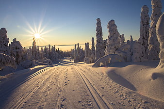 Sunrise on a Snow-Covered Cross-Country Ski Trail