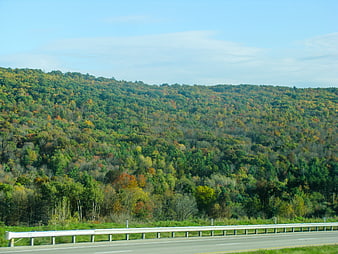 Autumn forest landscape with highway guardrail and blue sky