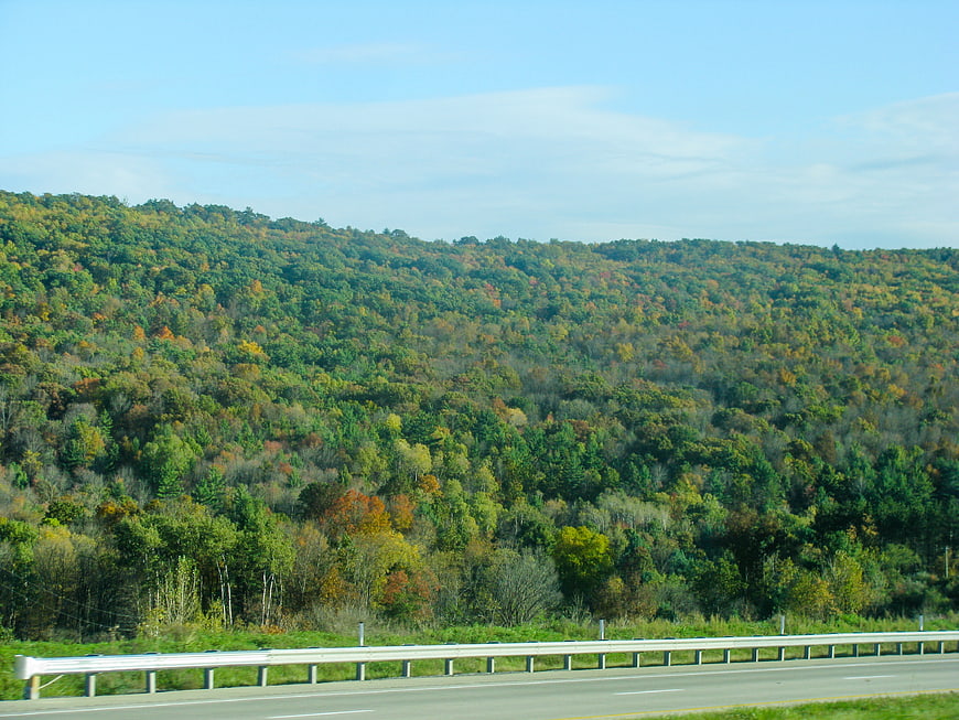 Autumn forest landscape with highway guardrail and blue sky