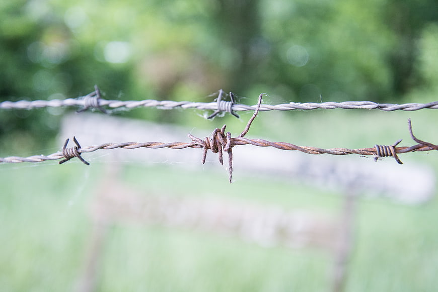 Close-up of rusty barbed wire against blurred green meadow