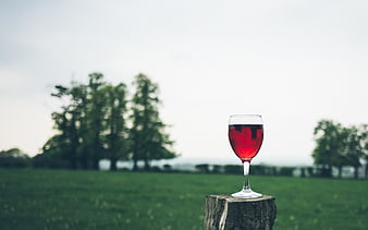Glass of Red Wine on Wooden Stump in Green Field