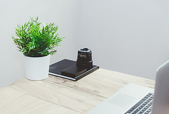 Minimalist workspace with laptop, camera lens, and plant