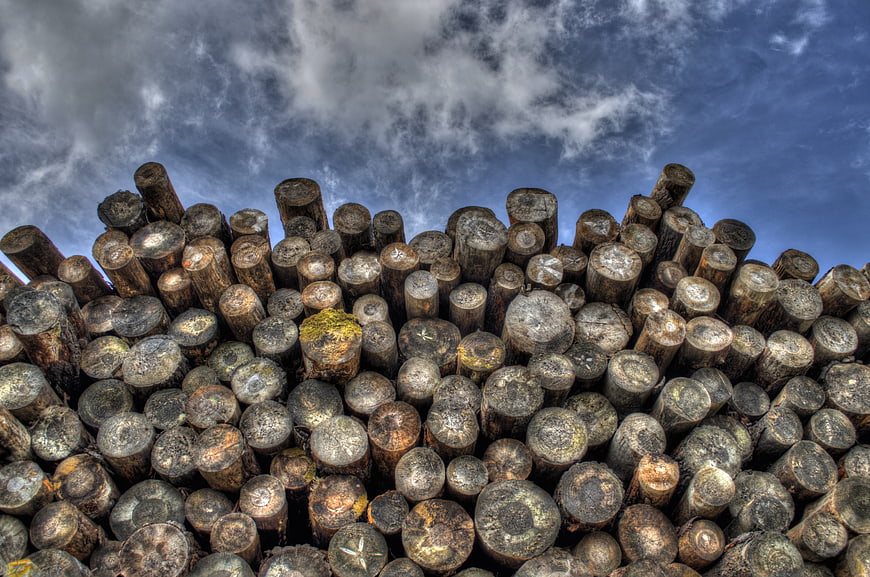 Stacked Timber Logs Against Dramatic Cloudy Sky