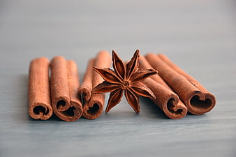 Cinnamon sticks and star anise on a gray background