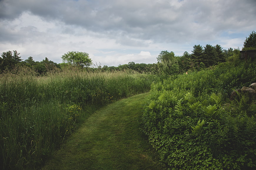 Grassy Path Through Lush Green Field Under Cloudy Sky