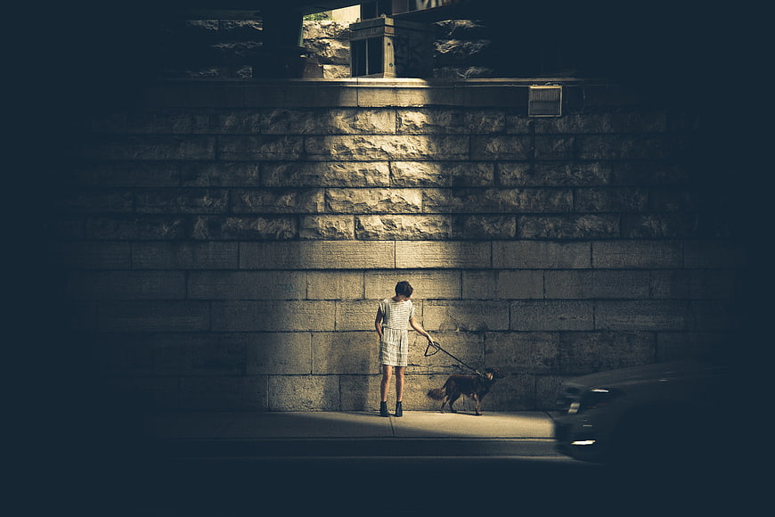 Woman Walking Dog at Night Against Illuminated Stone Wall