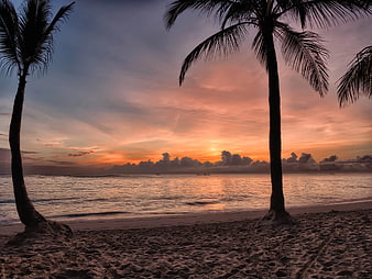 Tropical Sunset Beach with Silhouetted Palm Trees