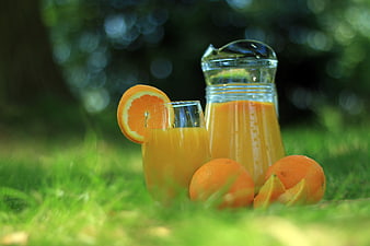 Fresh Orange Juice in Glass and Jug on Green Grass