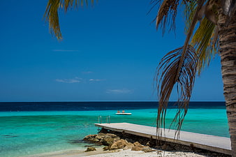 Tropical pier with turquoise water and palm trees in Curacao