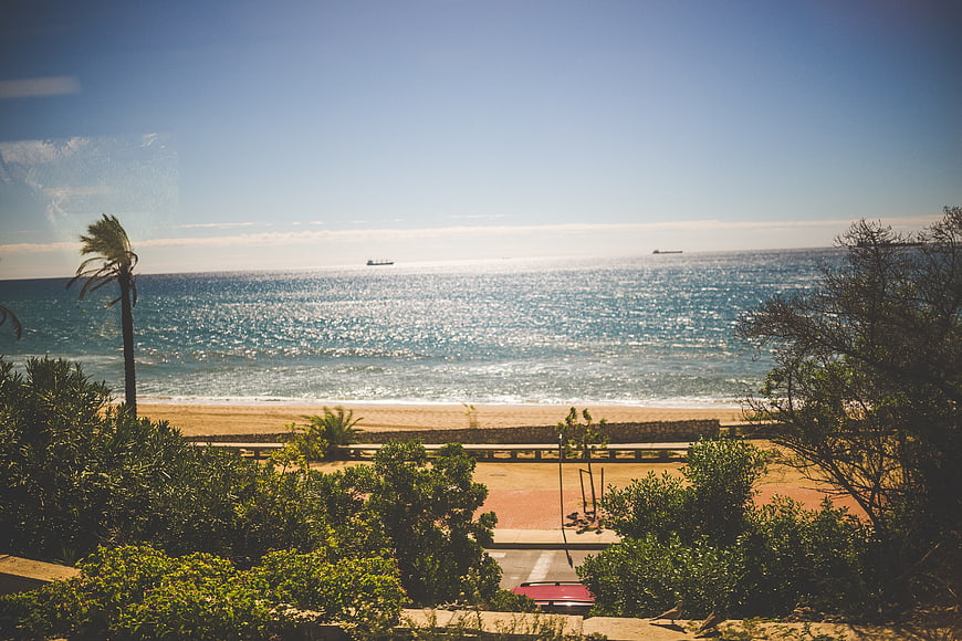 Sunny coastal view with palm tree, ocean, and distant ships