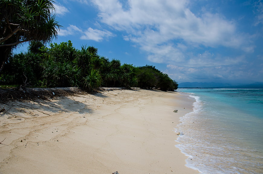 Tropical Beach with Turquoise Water and Lush Green Trees