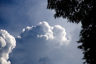 Dramatic white cumulus clouds in blue sky with tree silhouette