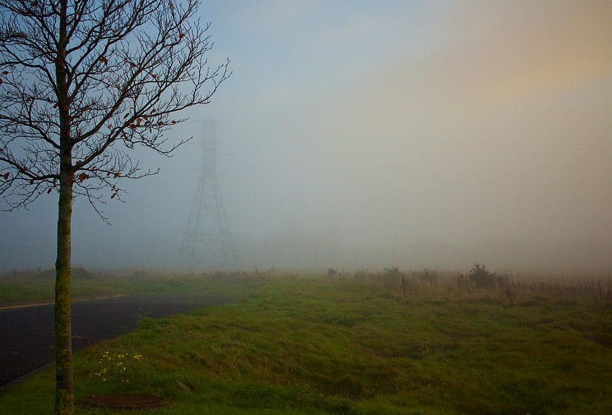 Foggy landscape with bare tree and distant power line tower