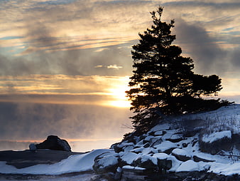 Silhouette of pine tree on snowy mountain ridge at sunrise