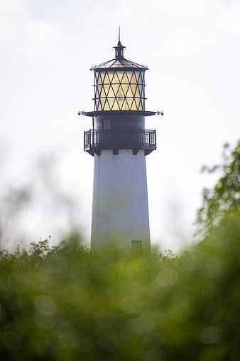 White Lighthouse Tower with Glowing Lantern Room Behind Green Foliage