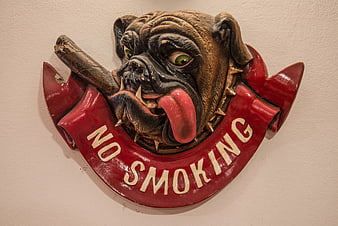 Vintage bulldog no smoking sign with cigar