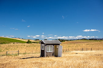 Small wooden shed in golden summer field with blue sky