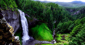 Majestic waterfall cascading into lush green forest valley