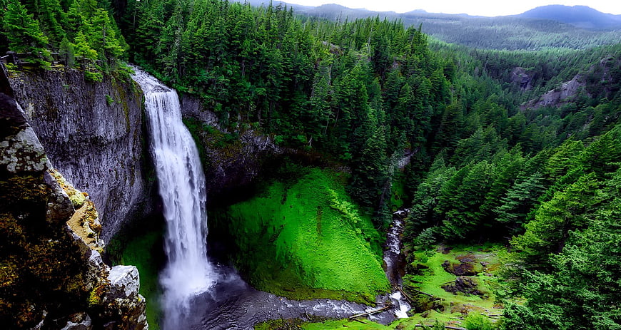 Majestic waterfall cascading into lush green forest valley