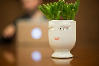 Cute ceramic face planter with succulent on office desk