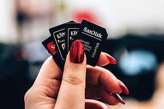 Hand holding multiple microSD memory cards and adapters