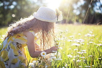 Girl in Lemon Dress Picking Daisies in Sunny Meadow