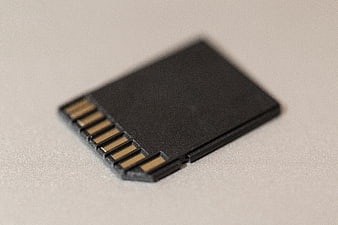 Close-up of black SD memory card on white background