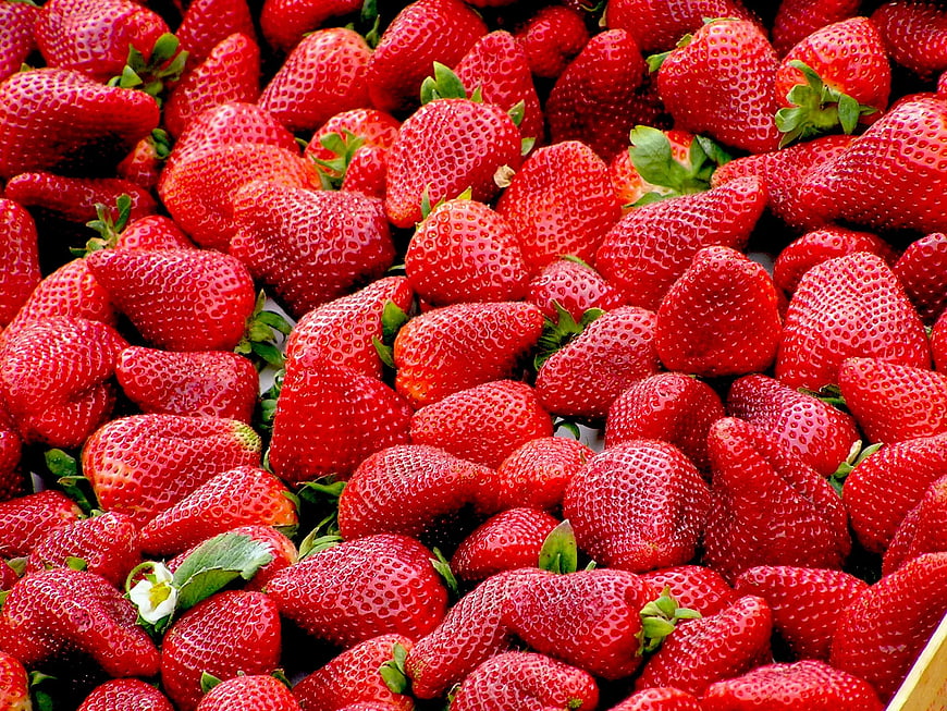 Close-up of fresh ripe red strawberries with green leaves