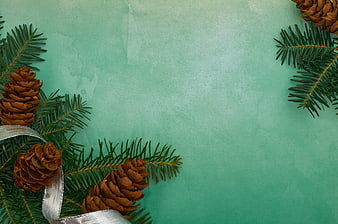 Christmas pine branches and cones on teal background