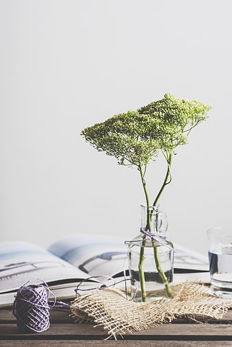 Minimalist still life with green flowers in glass vase and yarn