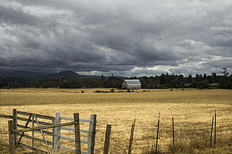 Weathered wooden gate in golden field under stormy sky