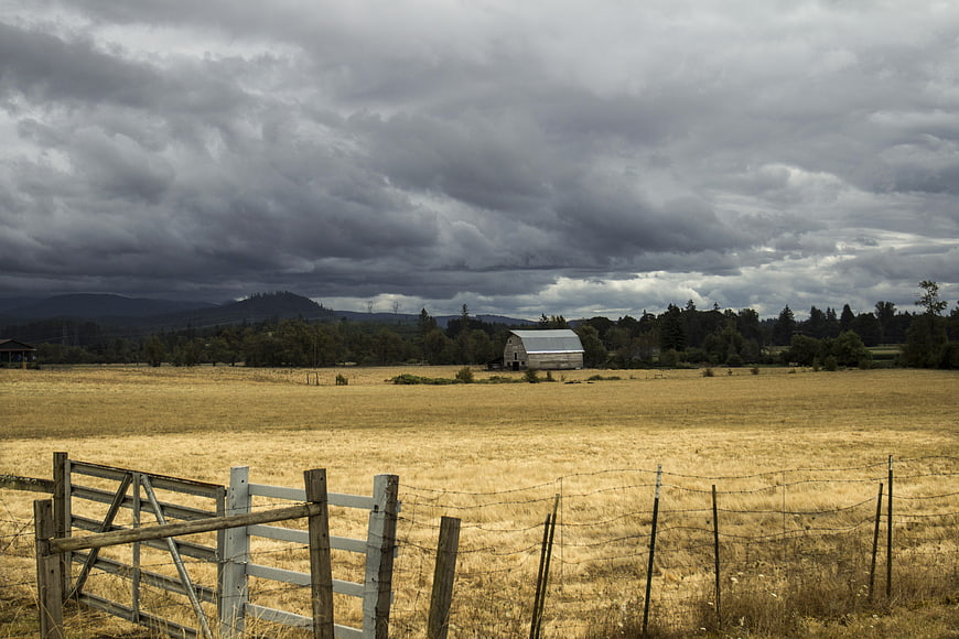 Weathered wooden gate in golden field under stormy sky
