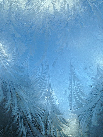 Frost Patterns on Blue Tinted Window Glass
