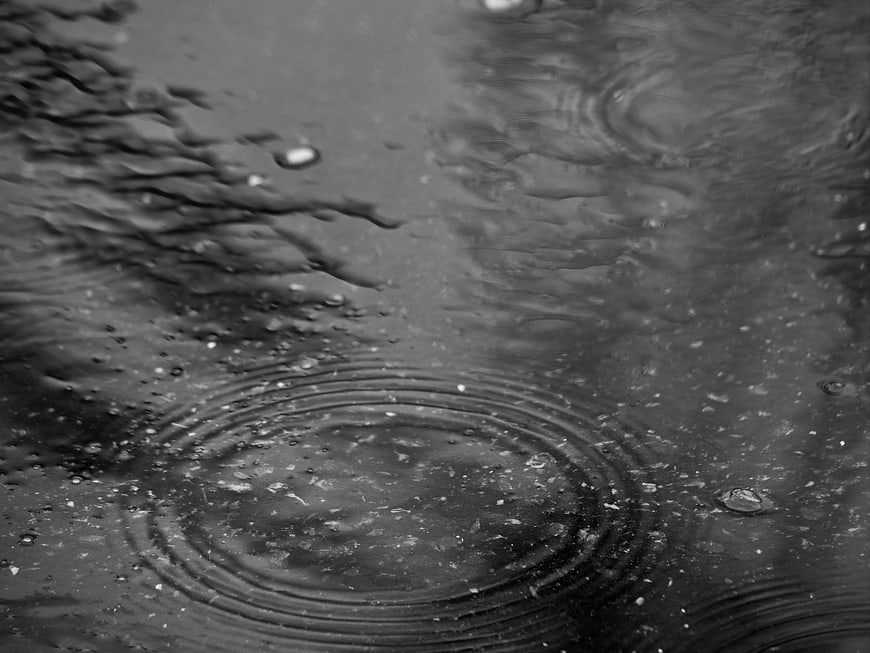 Black and white rain ripples in a puddle